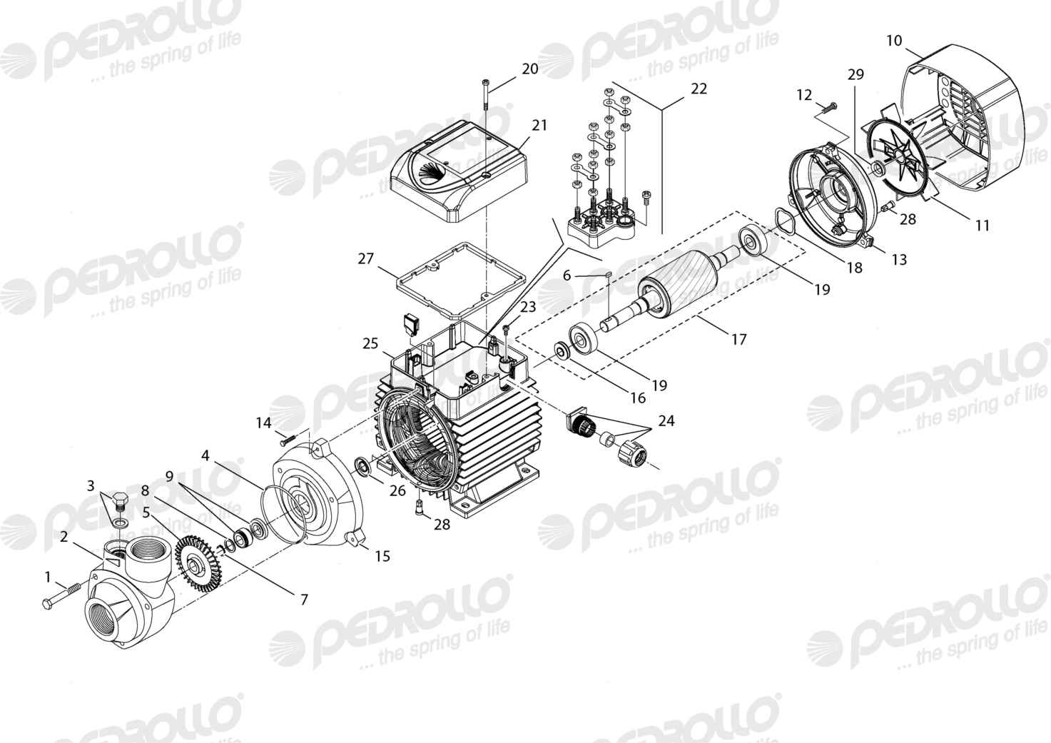 Despiece Pedrollo PK 90 · 220/380V · versión D
