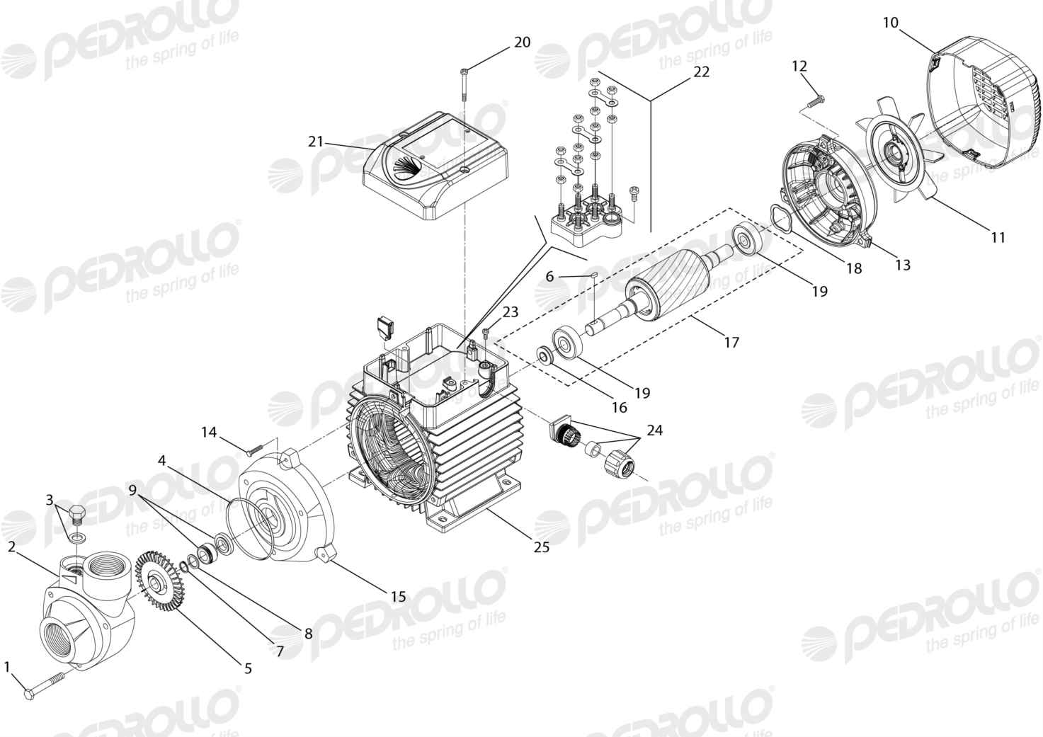 Despiece Pedrollo PK 90 · 220/380V · versión F