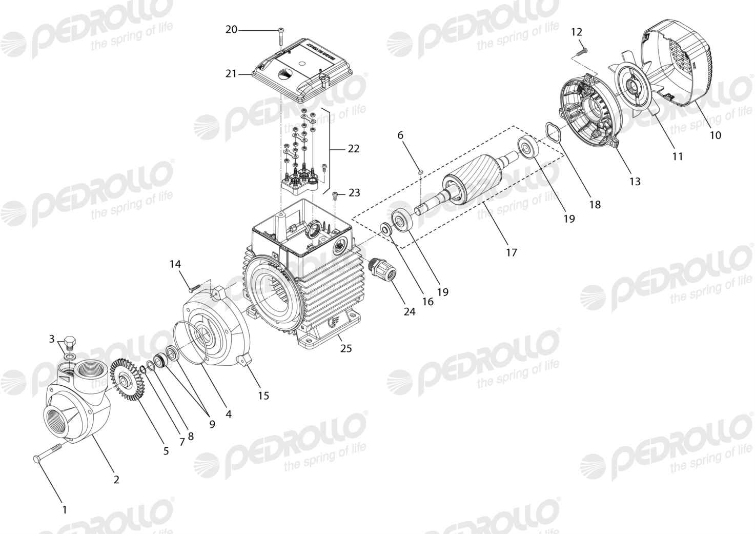 Despiece de la Pedrollo PK 90