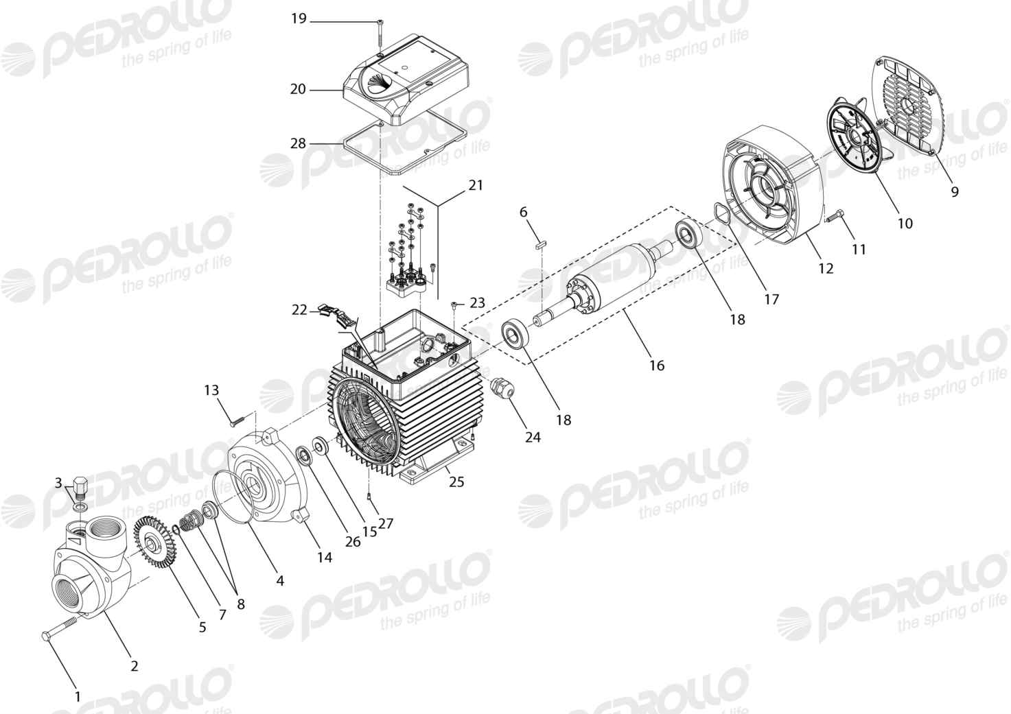 Despiece Pedrollo PK 100 · 220/380V · versión B