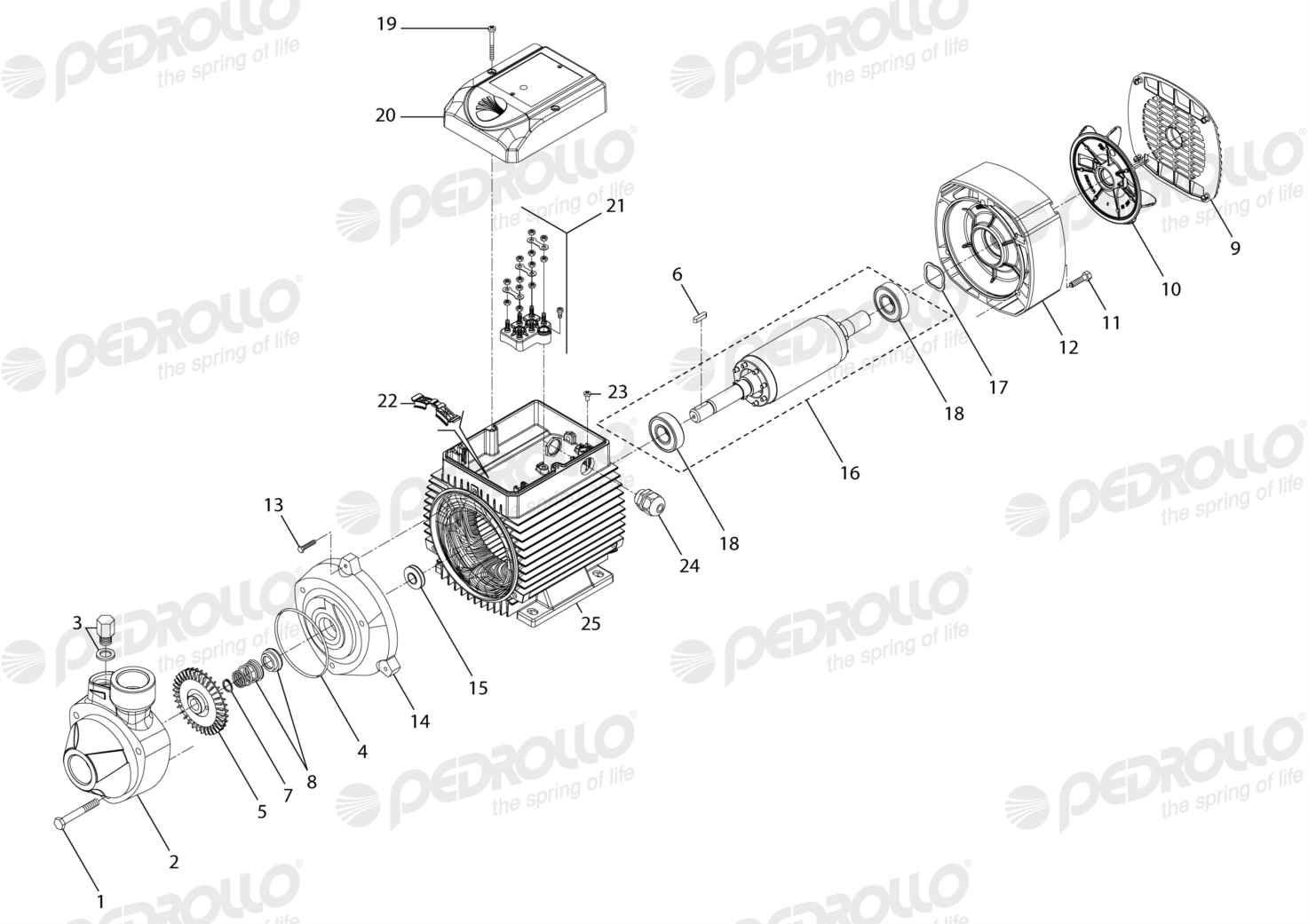 Despiece Pedrollo PK 100 · 220/380V · versión F