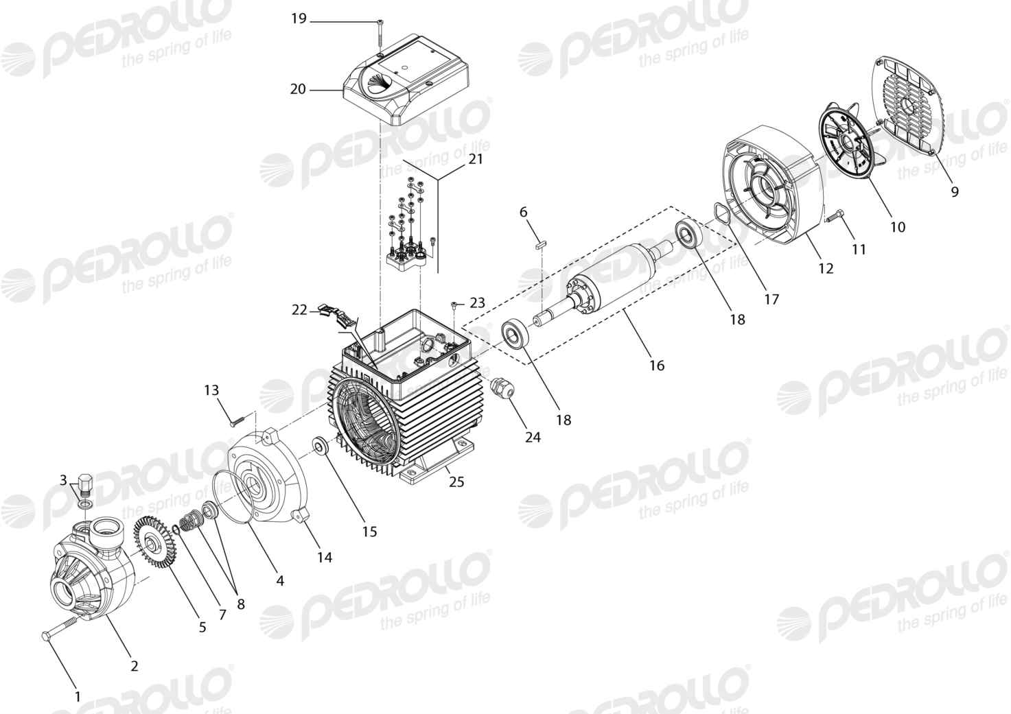 Despiece Pedrollo PK 100 · 220/380V · versión G