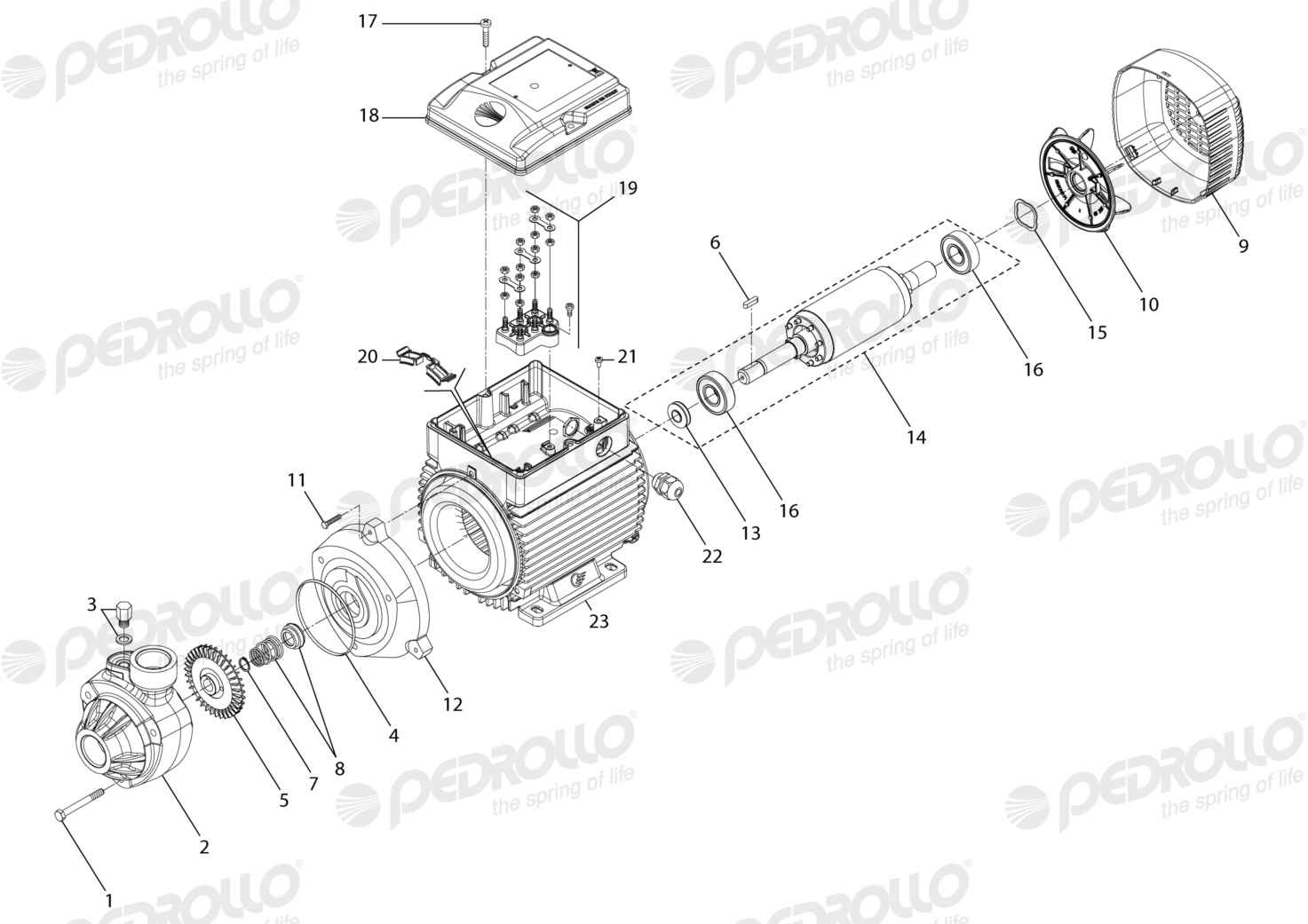 Despiece Pedrollo PK 200 · 220/380V · versión G