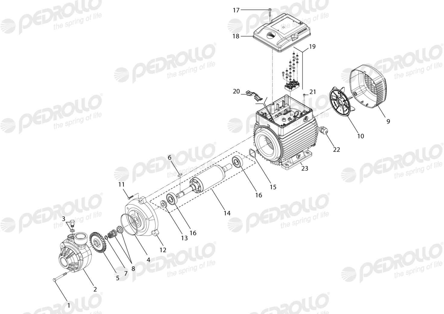 Despiece de la Pedrollo PK 200