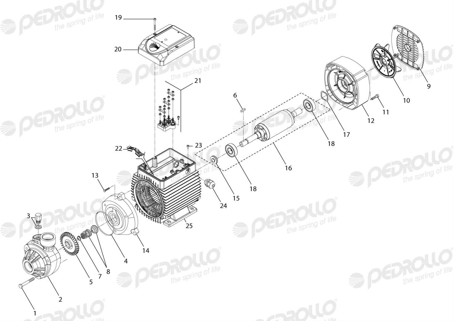 Despiece Pedrollo PK 300 · 220/380V · versión E