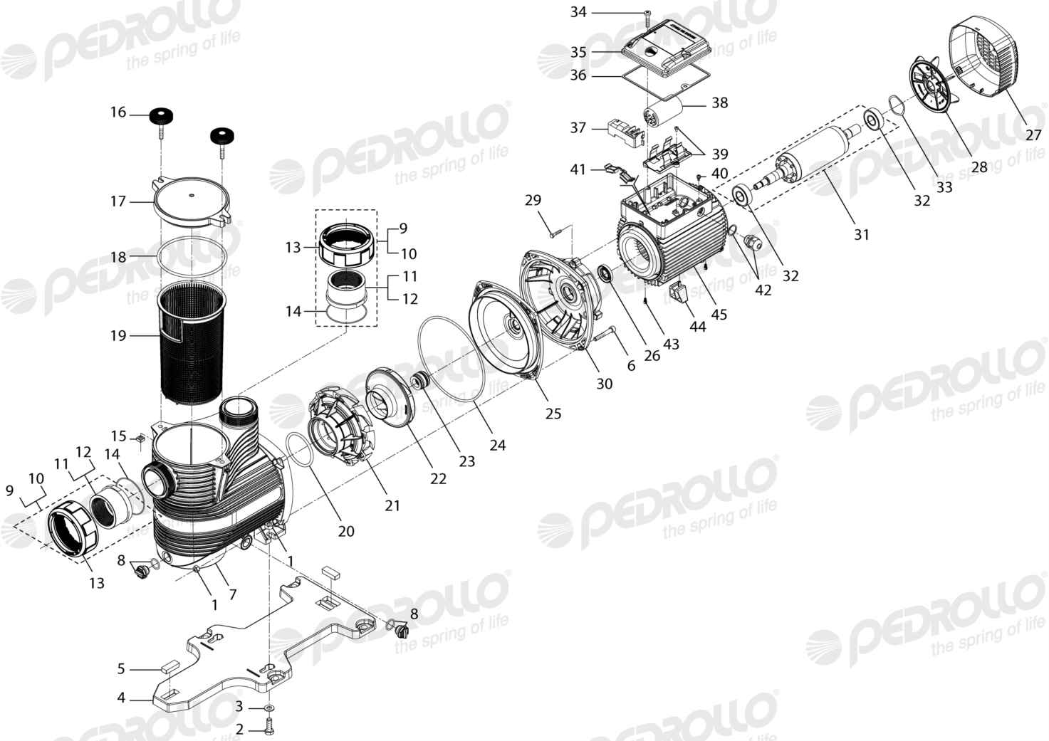 Despiece Pedrollo MAGNIFICA 5m · 220V NPT · versión Sin letra