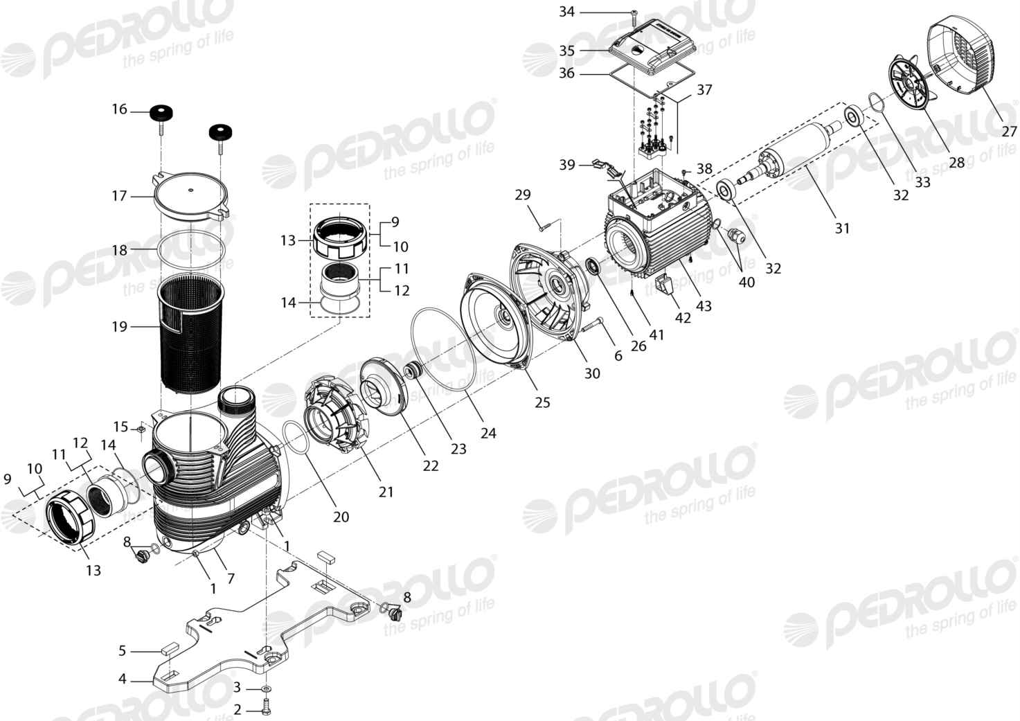 Despiece Pedrollo MAGNIFICA 5 · 220/380V NPT · versión Sin letra
