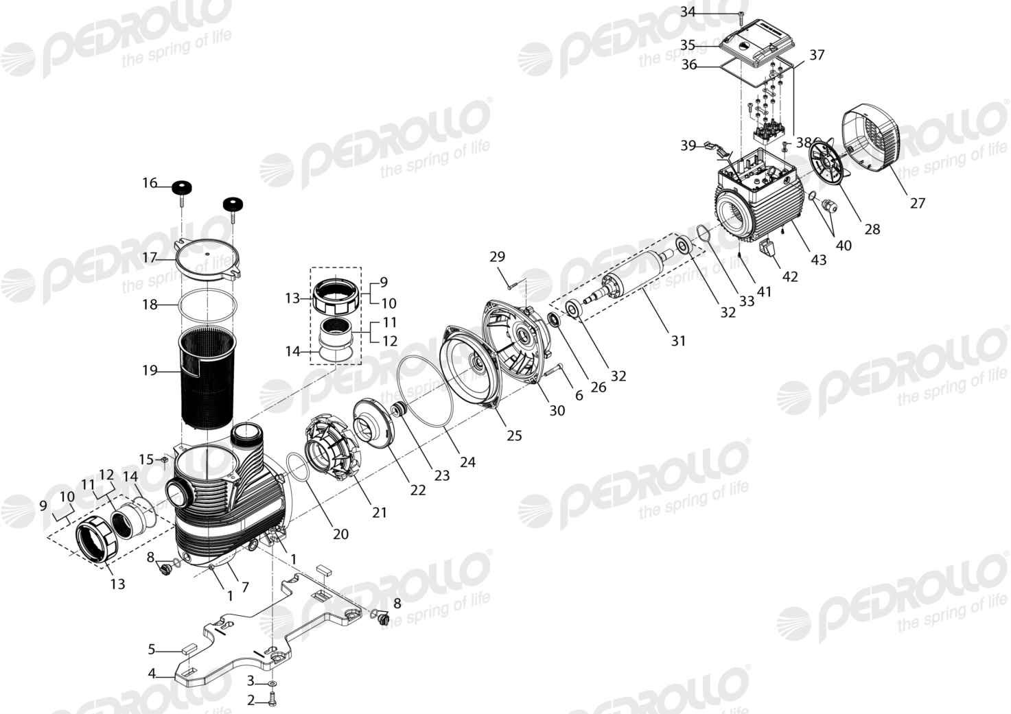 Despiece Pedrollo MAGNIFICA 5 · 220/380V NPT · versión A