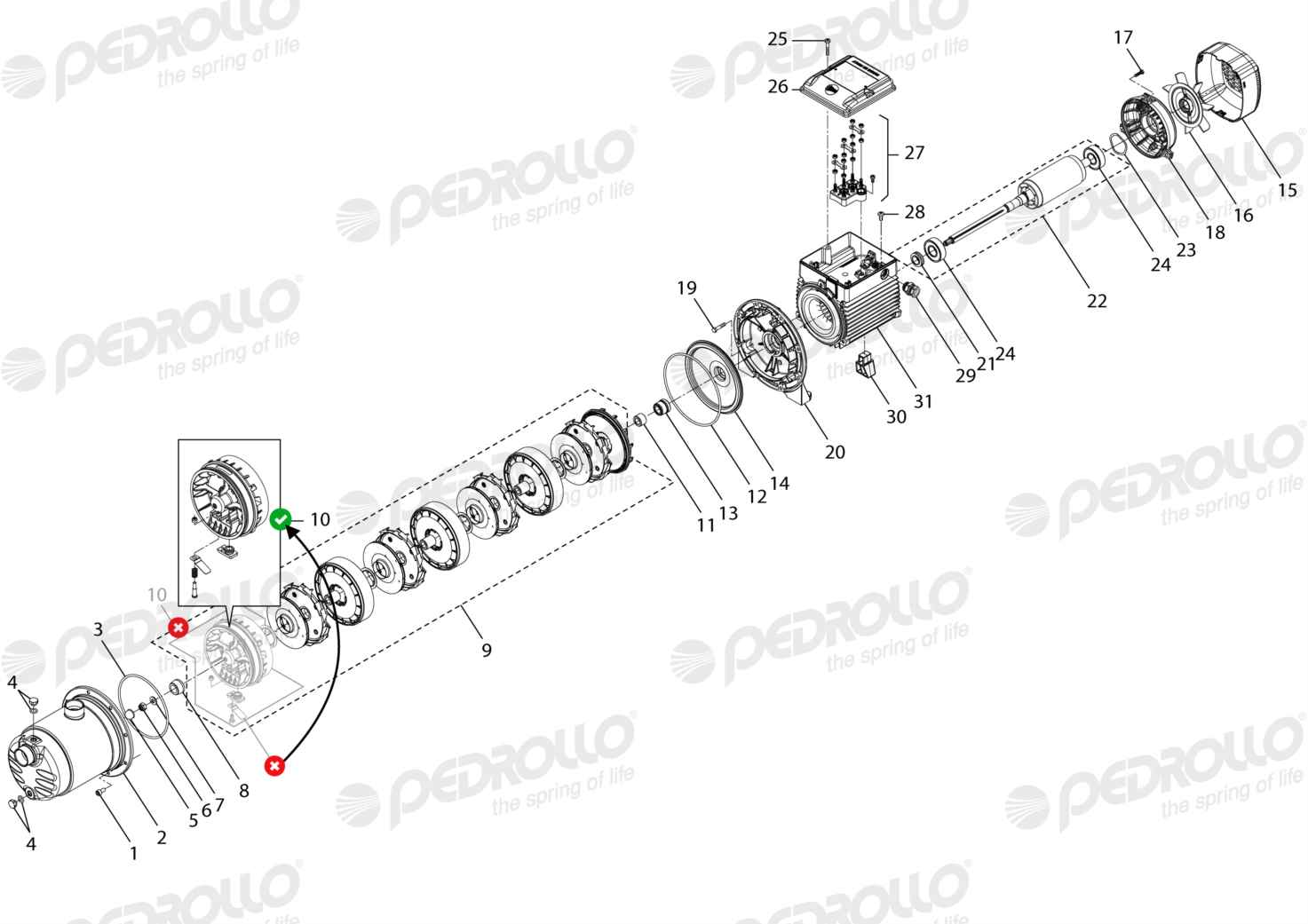Despiece Pedrollo PLURIJET 4/100 · 220/380V · versión E