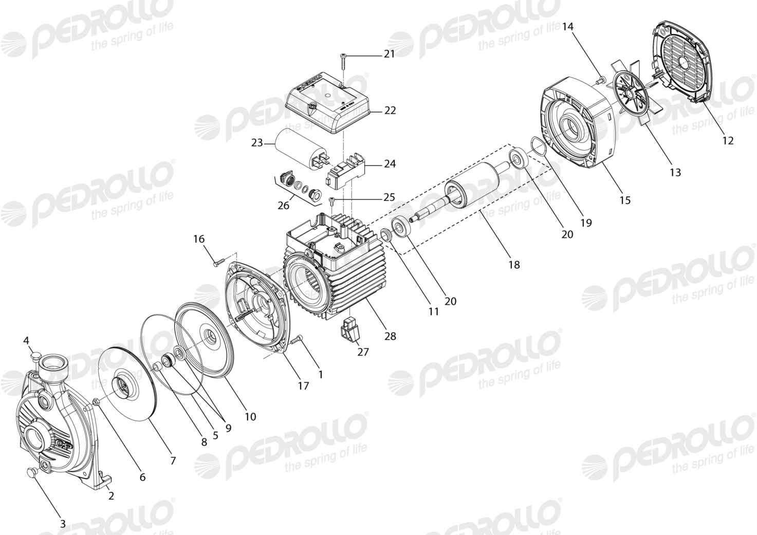 Despiece Pedrollo CPm 600 · 220V · versión F