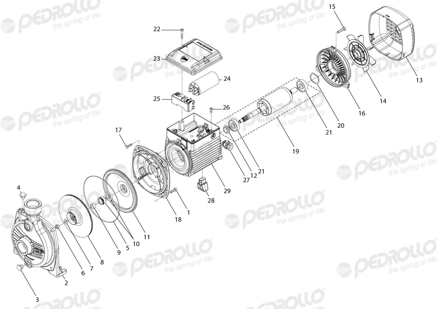 Despiece Pedrollo CPm 600 · 220V · versión H