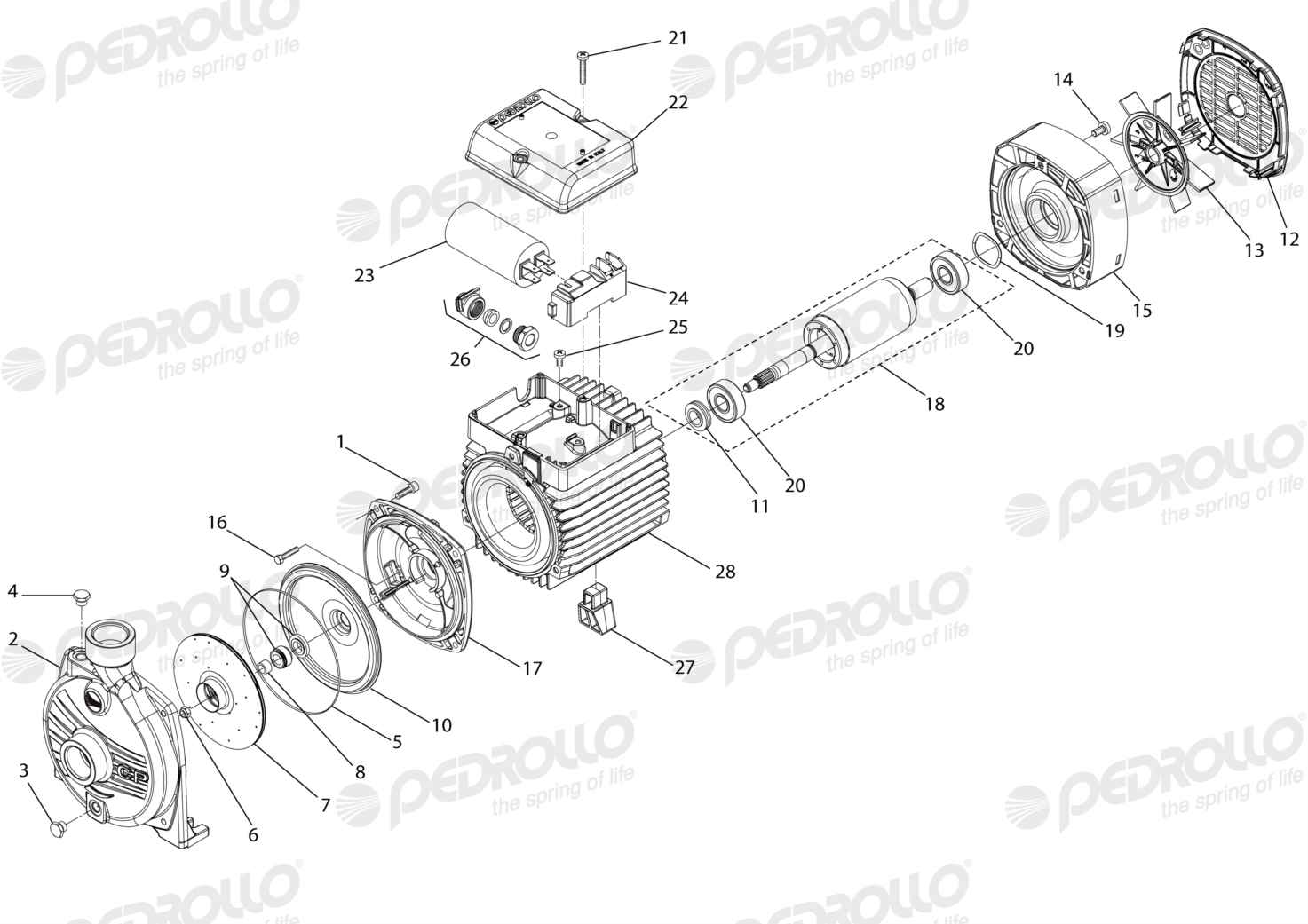 Despiece Pedrollo CPm 610 · 220V · versión D