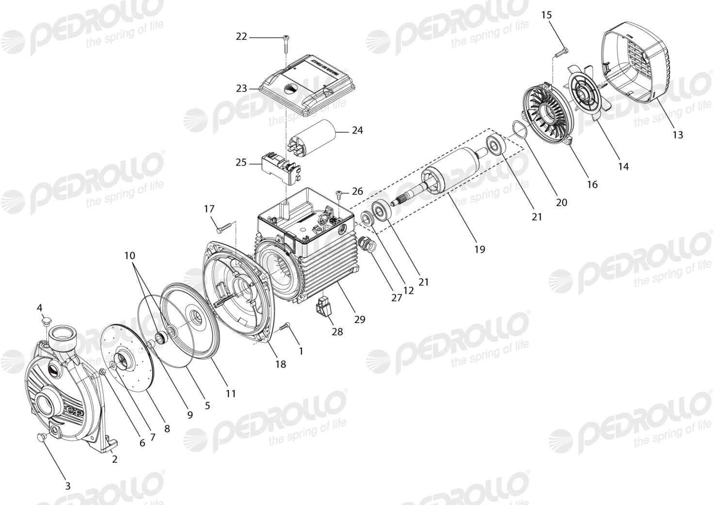 Despiece Pedrollo CPm 610 · 220V · versión F