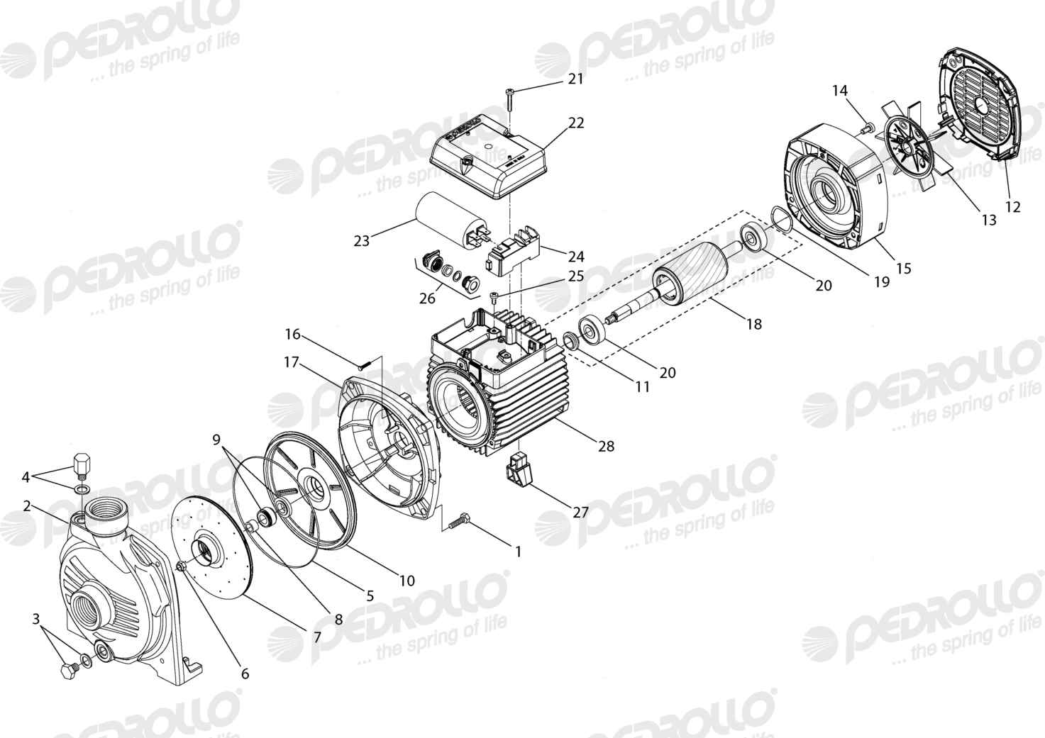 Despiece Pedrollo CPm 600 · 220V · versión D