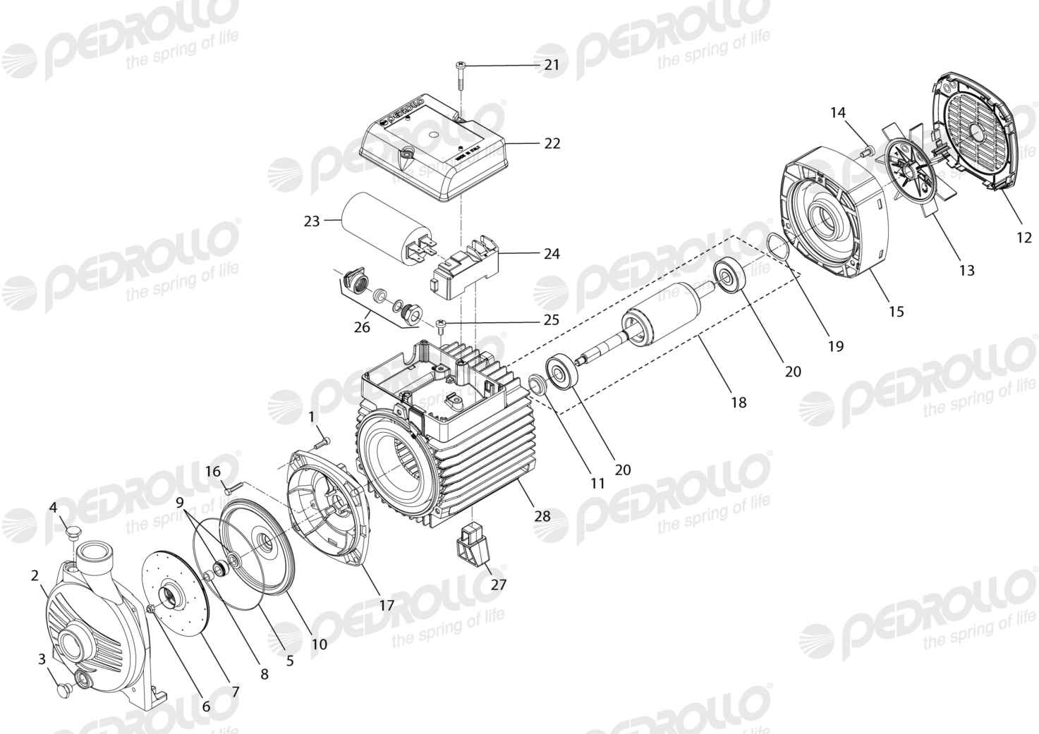 Despiece Pedrollo CPm 610 · 220V · versión B