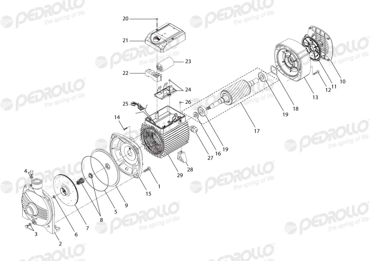 Despiece Pedrollo CPm 650M · 220V · versión C