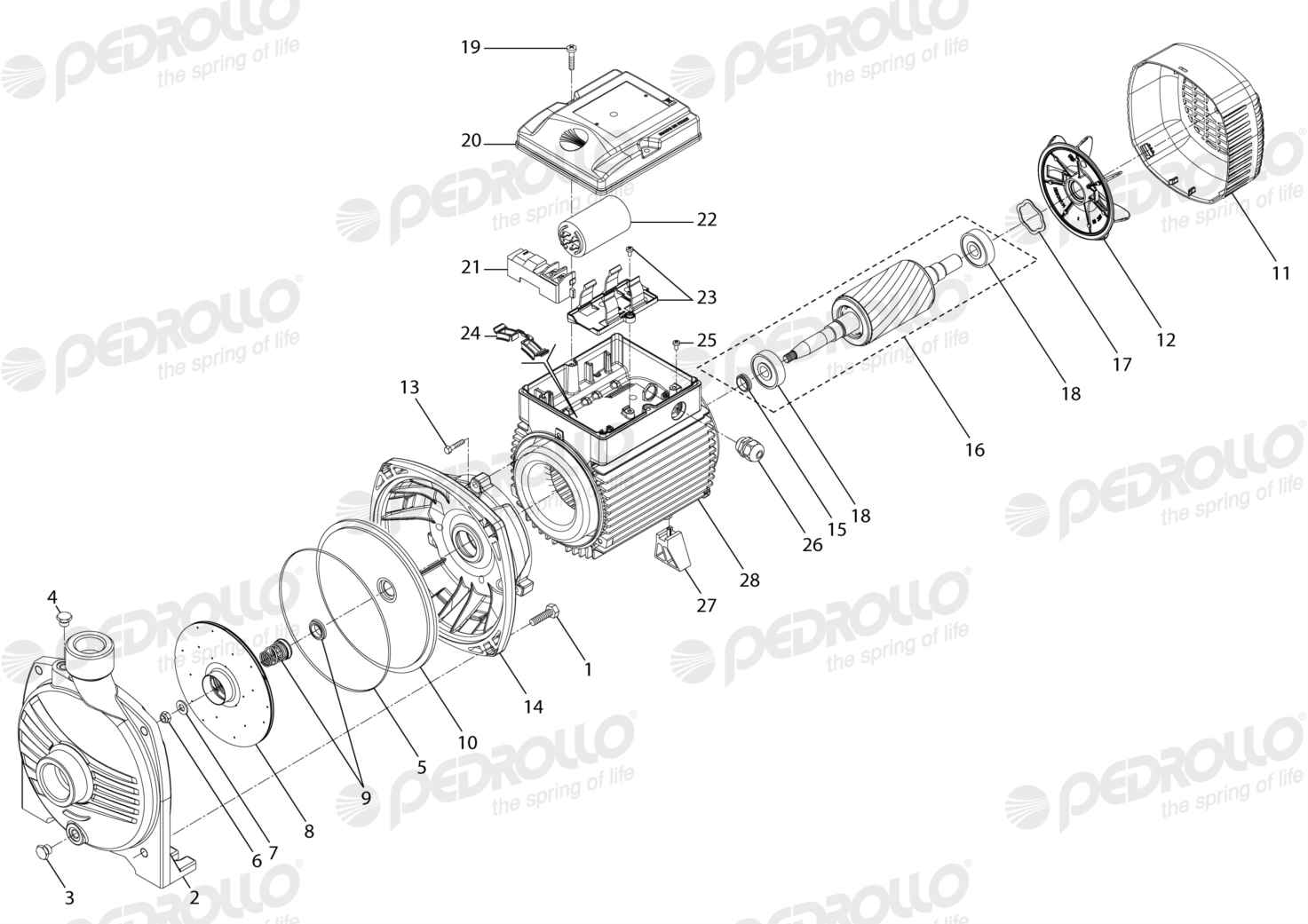 Despiece Pedrollo CPm 670M · 220V · versión E