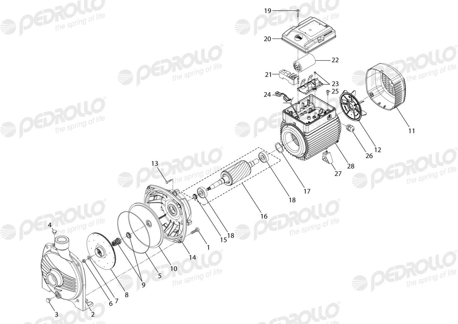 Despiece de la Pedrollo CPm 670M