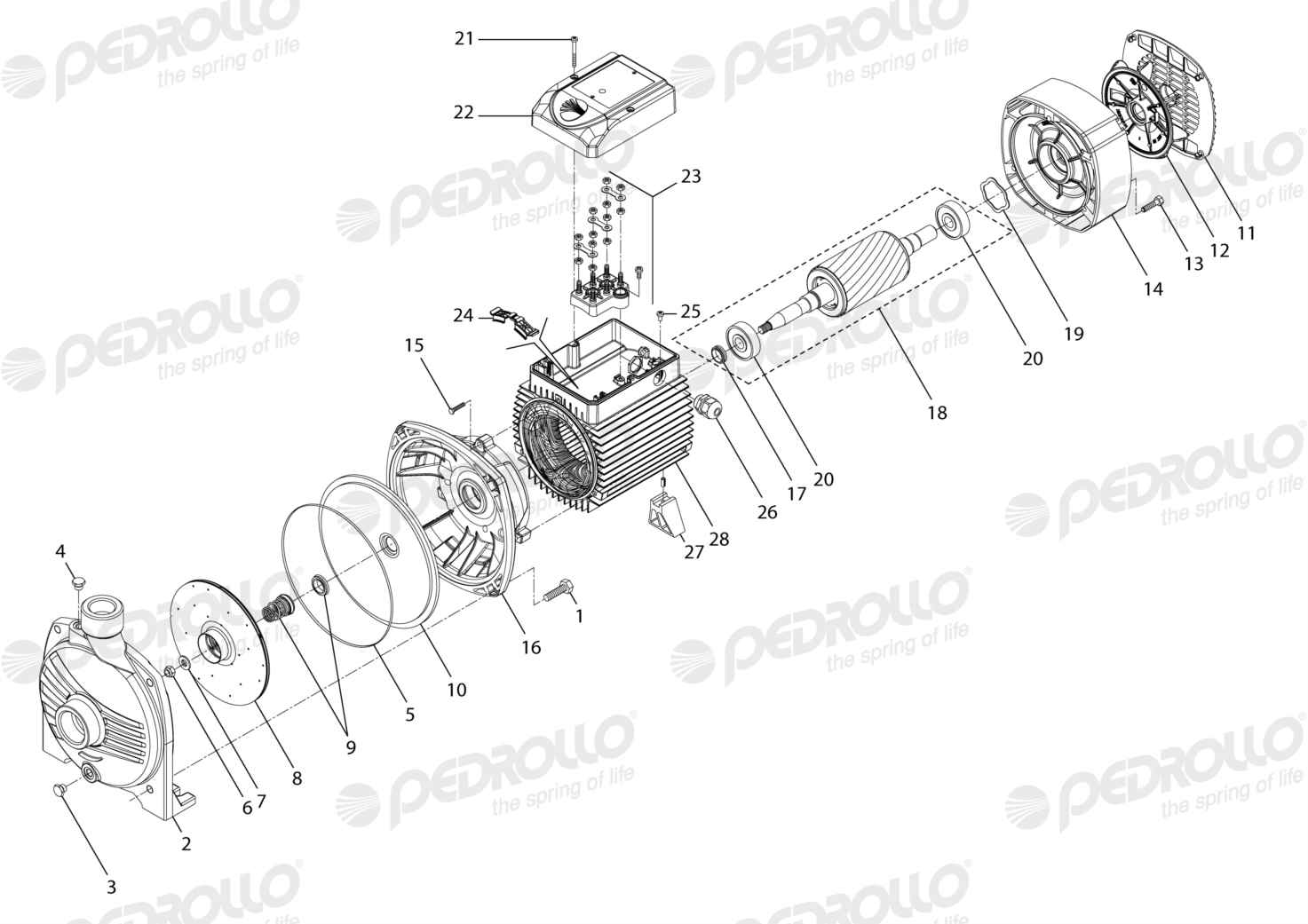 Despiece Pedrollo CP 660M · 220/380V · versión E