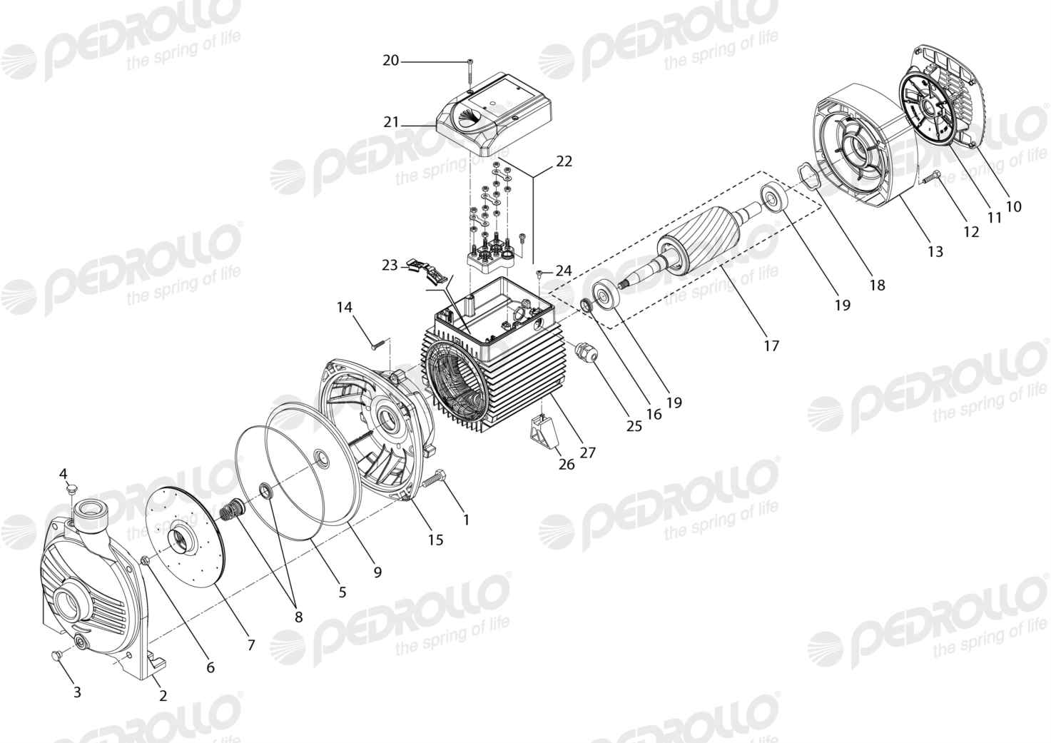 Despiece Pedrollo CP 670M · 220/380V · versión D
