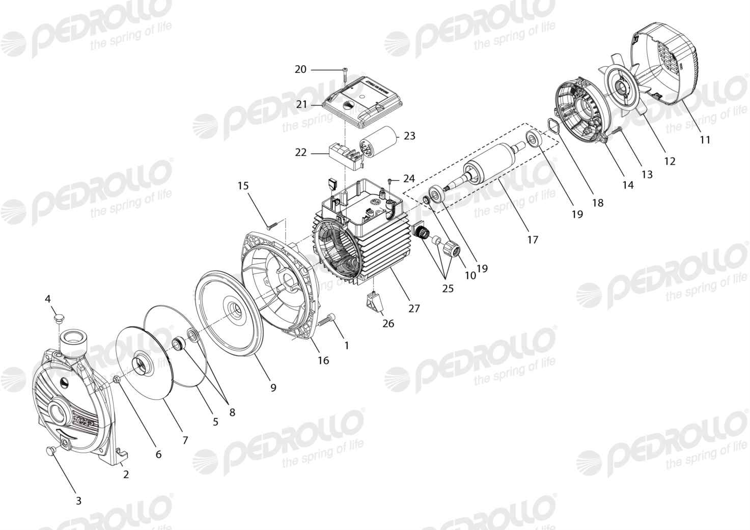 Despiece Pedrollo CPm 620 · 220V · versión F