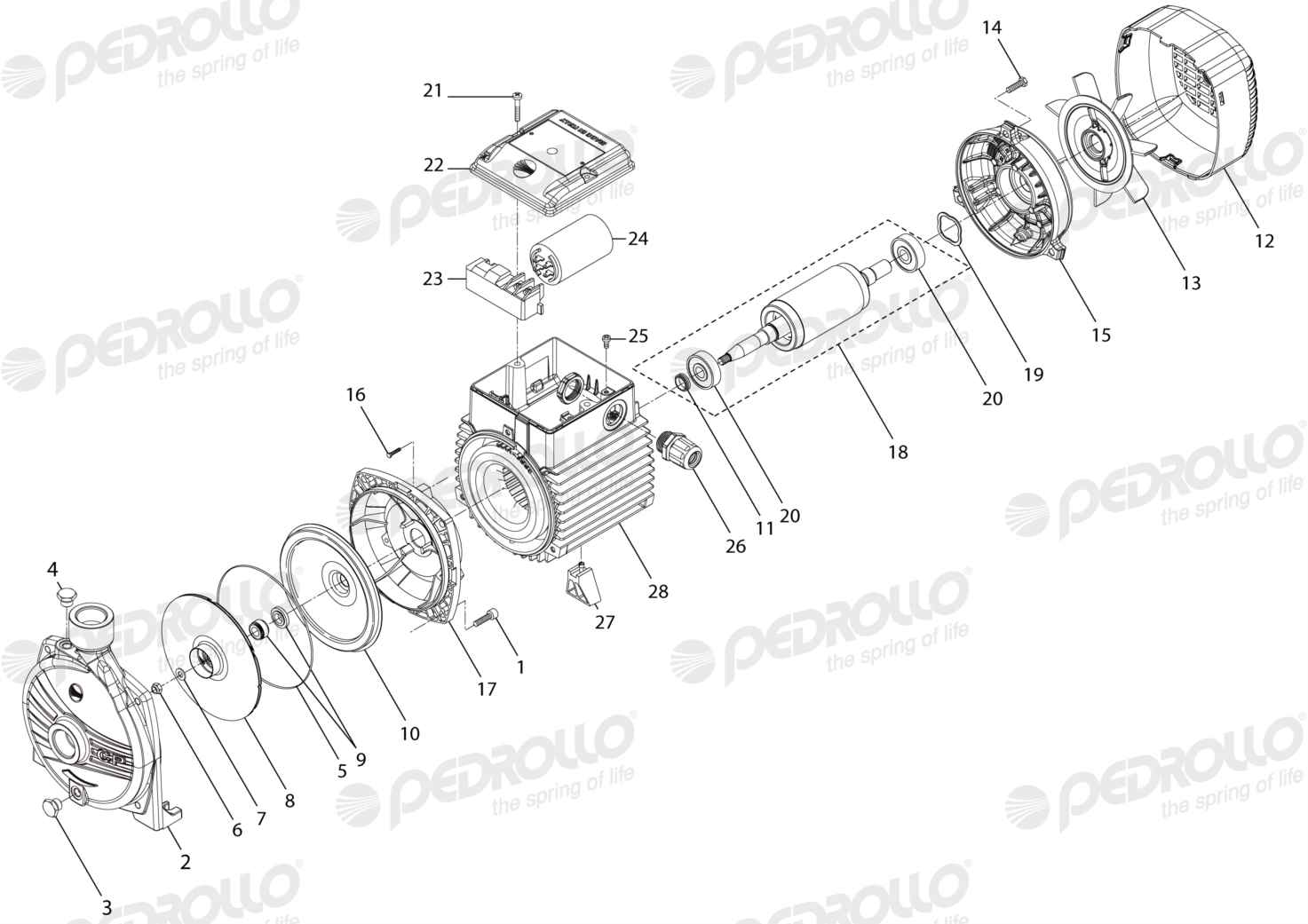 Despiece Pedrollo CPm 620 · 220V · versión G