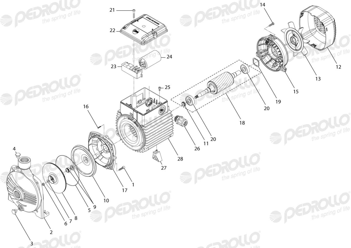 Despiece de la Pedrollo CPm 620