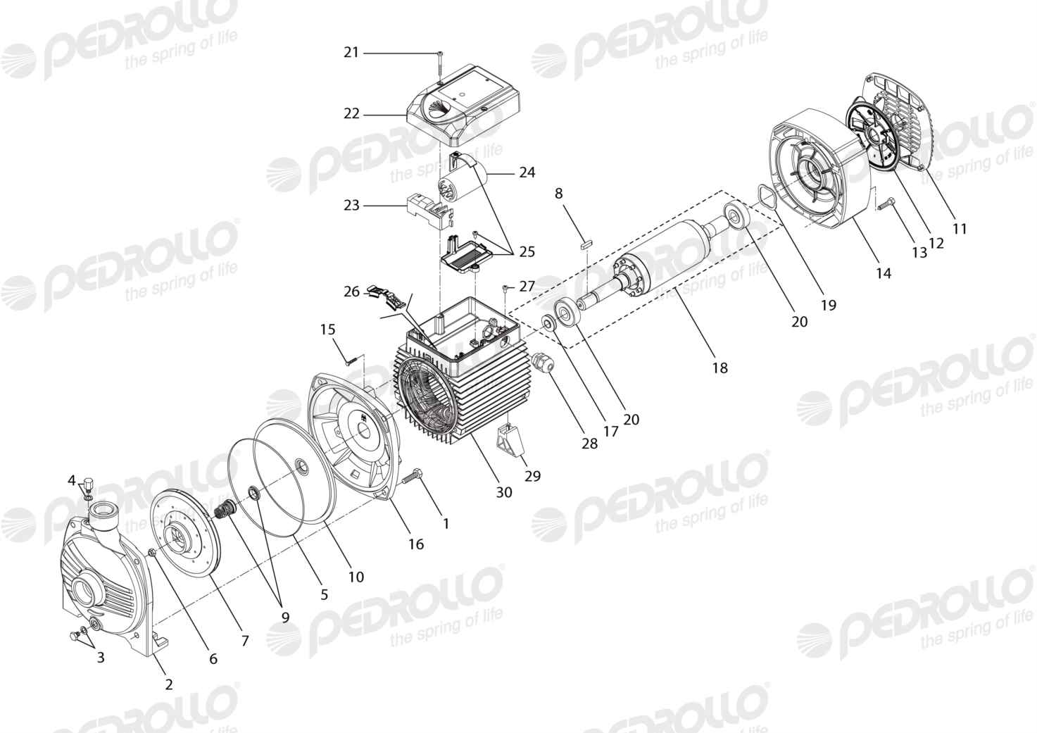 Despiece Pedrollo CPm 650M · 220V · versión A