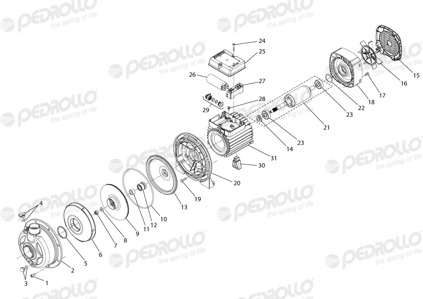 Despiece Pedrollo AL-REDm 610-4 · 220V · versión Sin letra