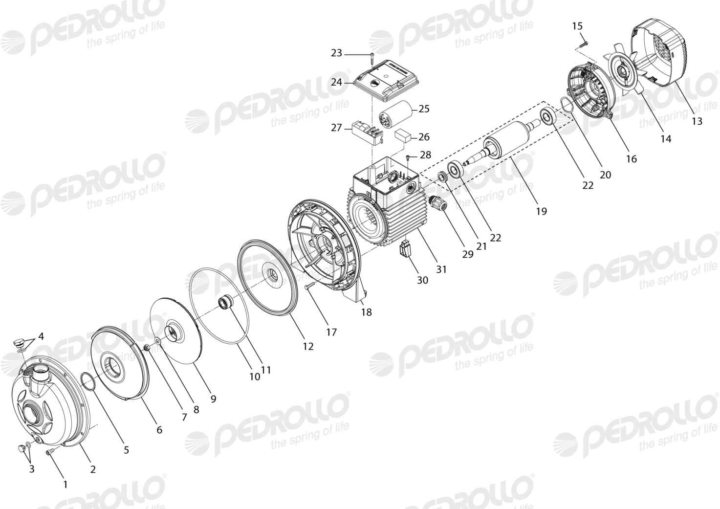 Despiece Pedrollo AL-REDm 620-4 · 220V · versión B
