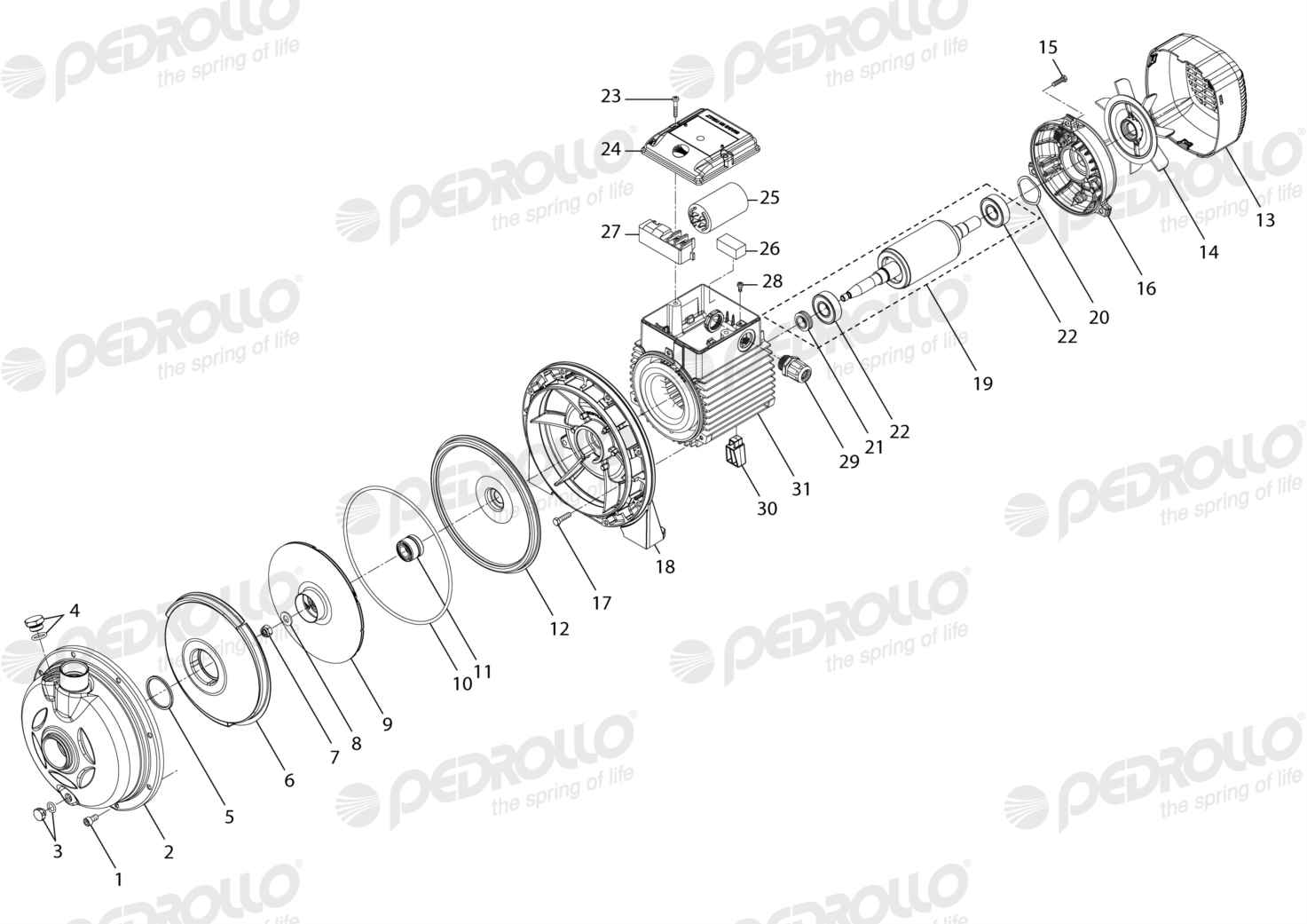 Despiece Pedrollo AL-REDm 620-4 · 220V · versión C
