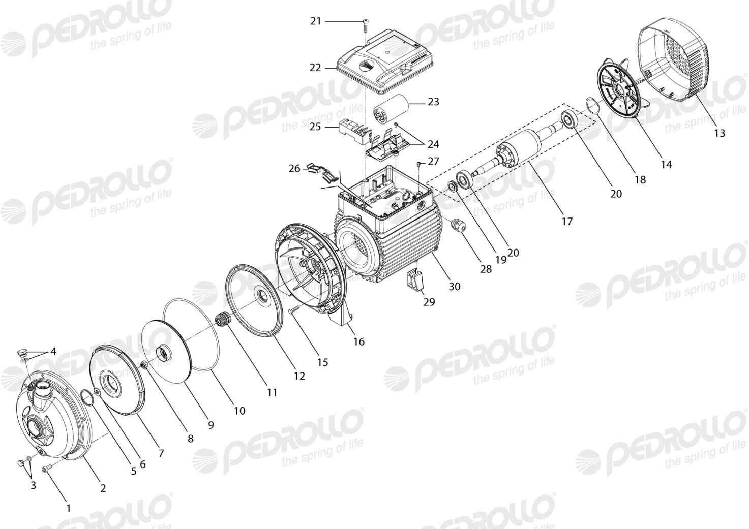 Despiece Pedrollo AL-REDm 660M-4 · 220V · versión A