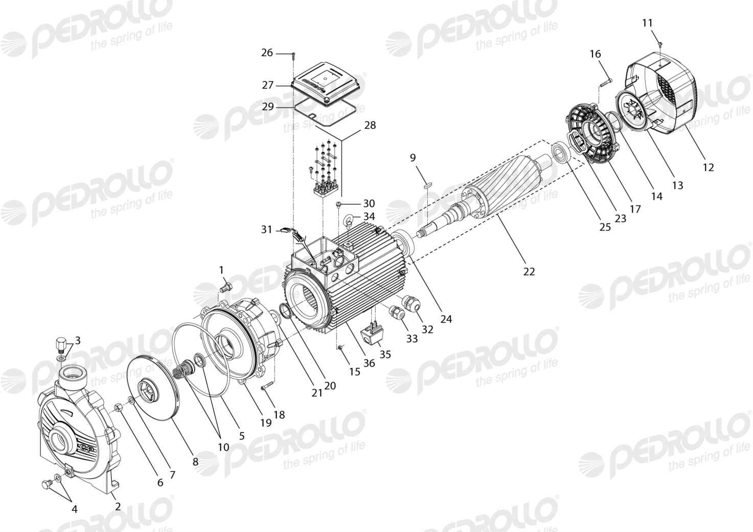 Despiece de la Pedrollo CP 750C