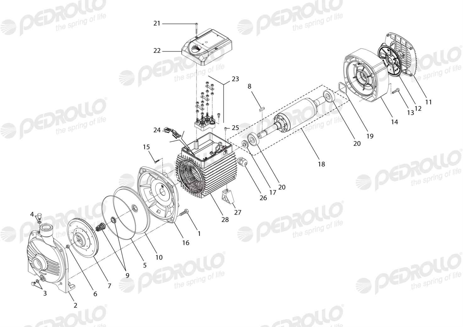 Despiece Pedrollo CP 660M · 220/380V · versión B