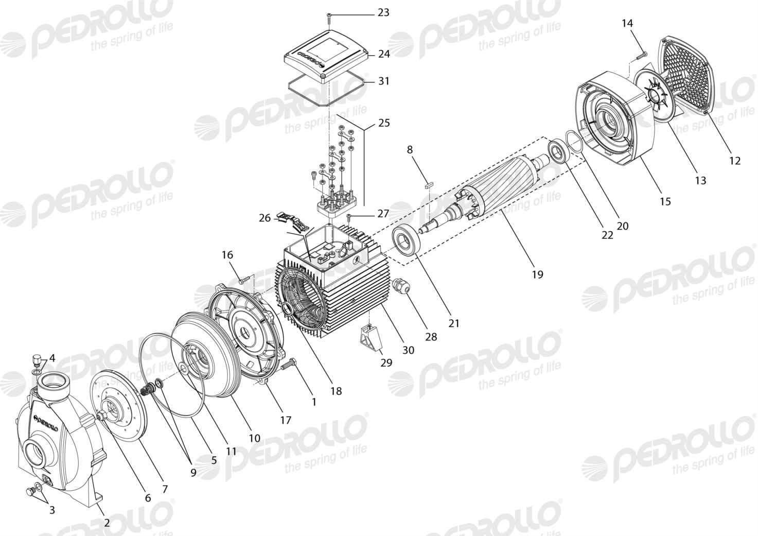 Despiece Pedrollo CP 680C · 220/380V · versión A