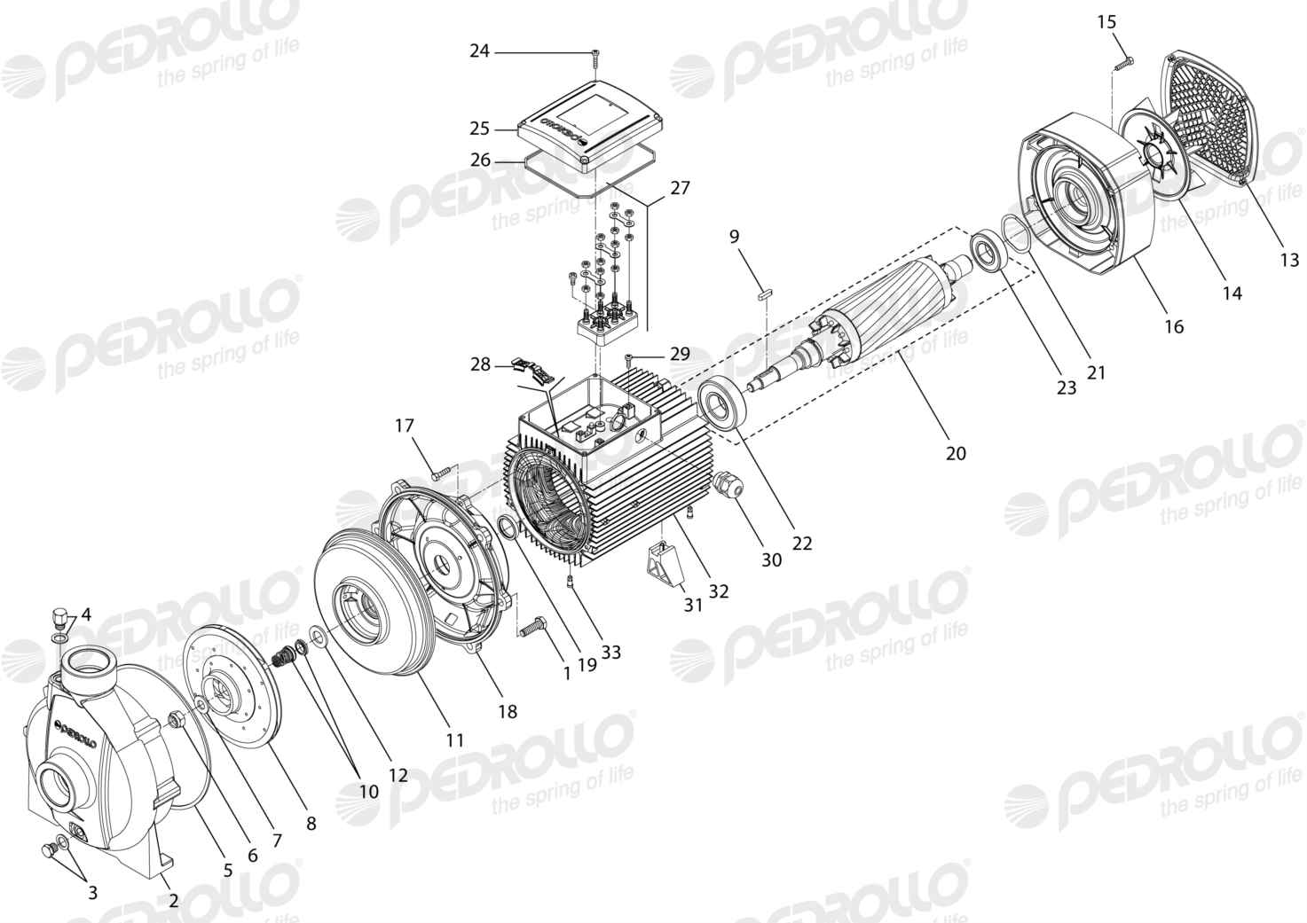 Despiece Pedrollo CP 700B · 220/380V · versión A