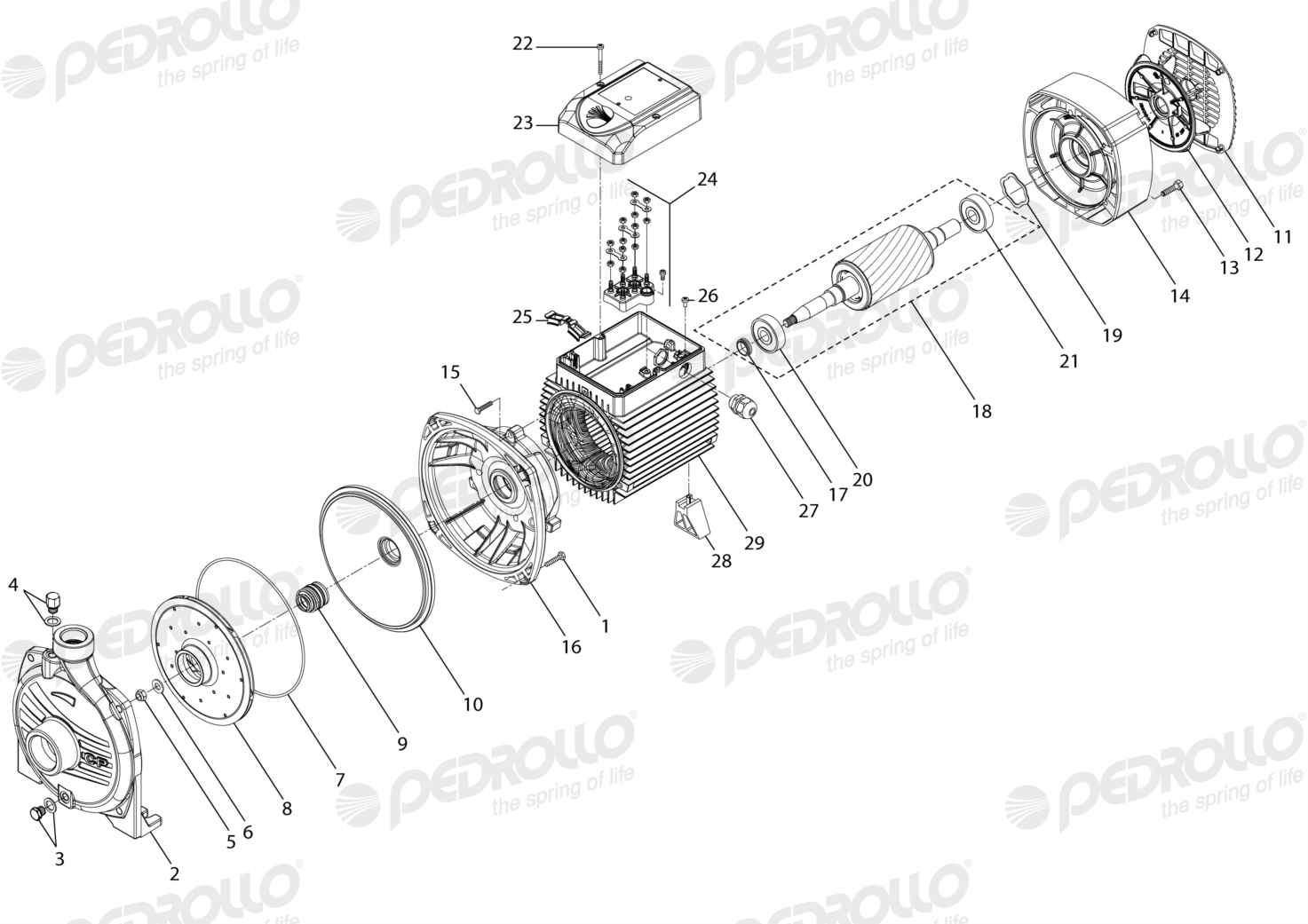 Despiece Pedrollo CP 160A · 220/380V · versión Sin letra