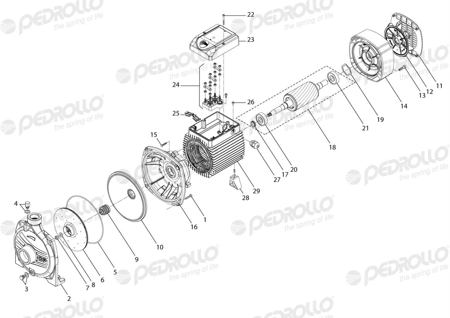 Despiece Pedrollo CP 160A · 220/380V · versión B