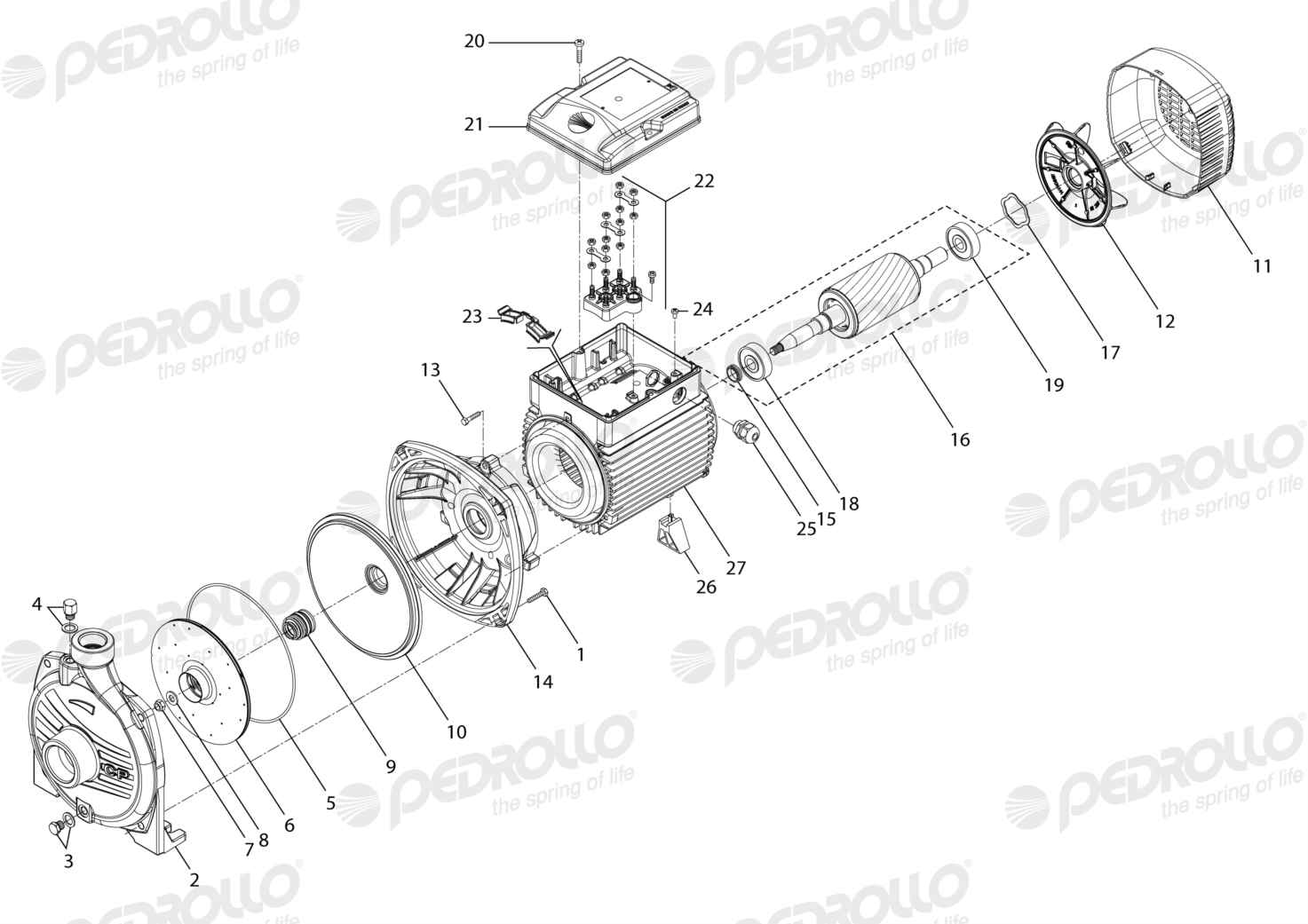 Despiece Pedrollo CP 160A · 220/380V · versión C