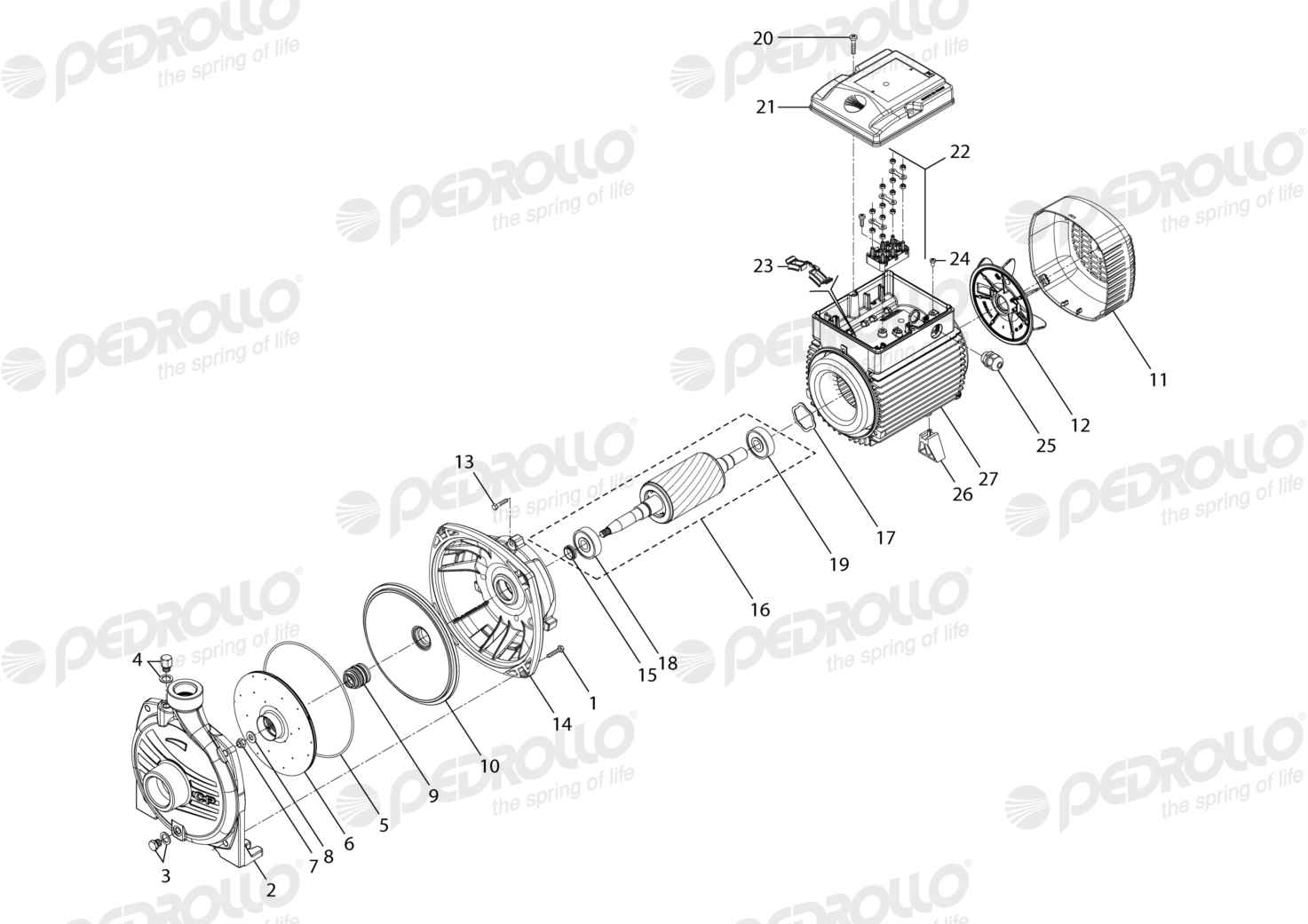 Despiece de la Pedrollo CP 160A