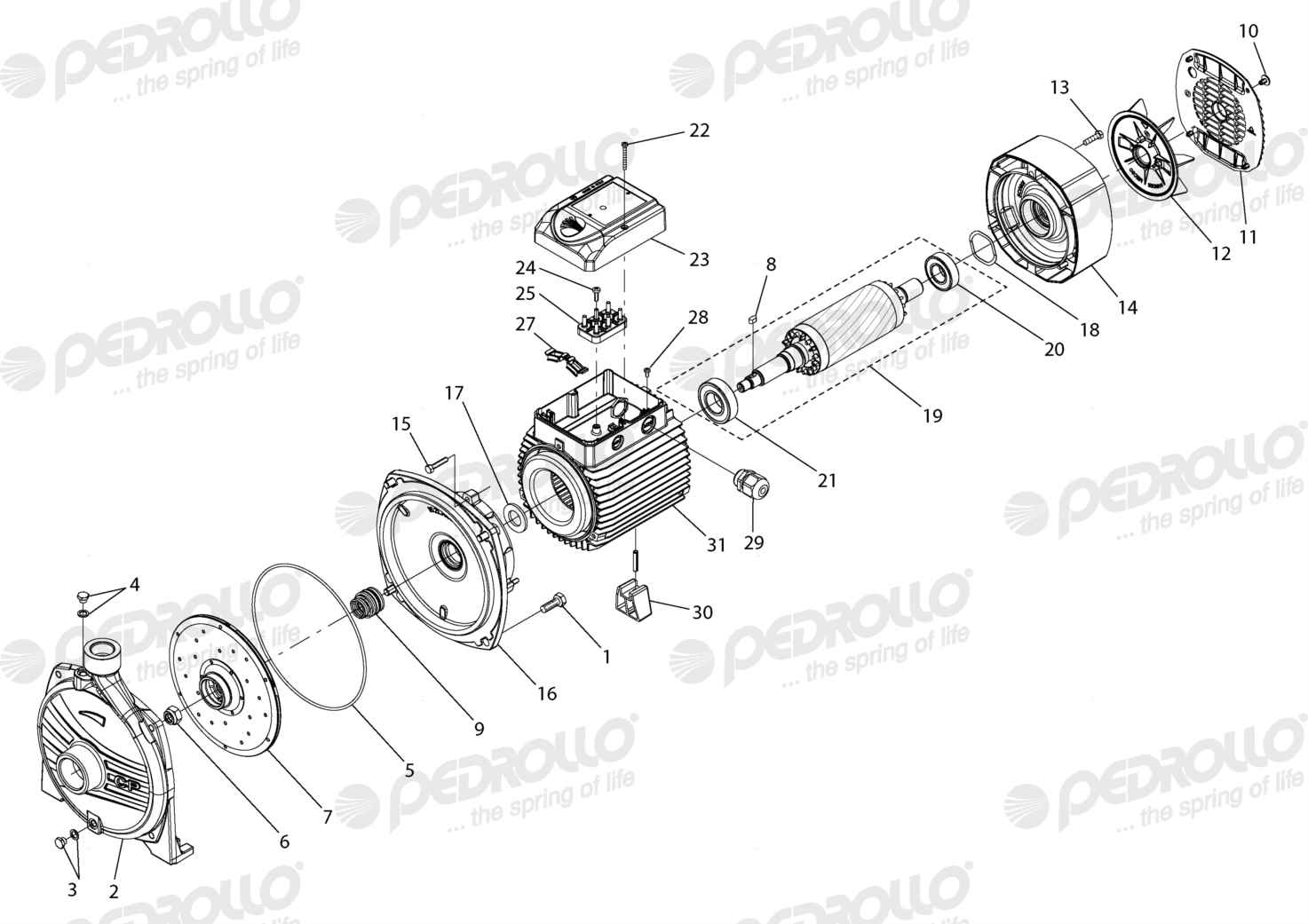 Despiece Pedrollo CP 210B · 220/380V · versión Sin letra