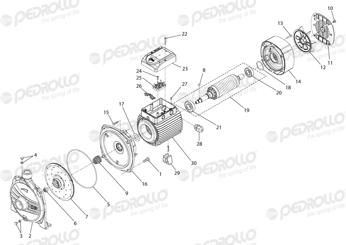 Despiece Pedrollo CP 210B · 220/380V · versión A