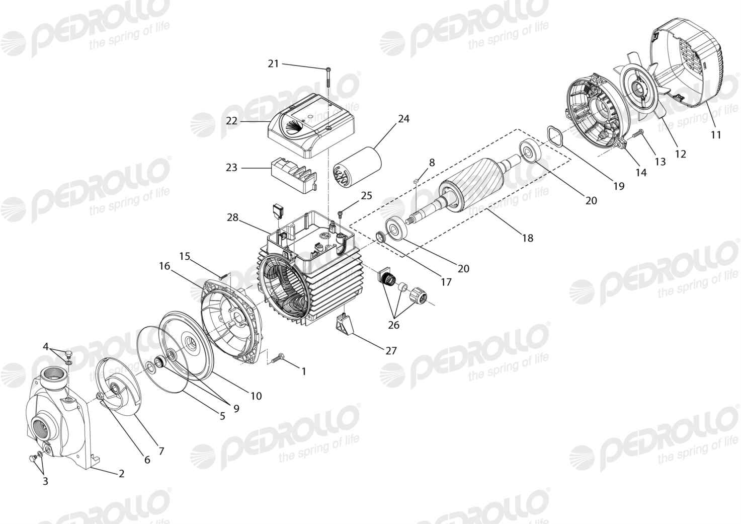 Despiece Pedrollo NGAm 1A-PRO · 220V · versión G
