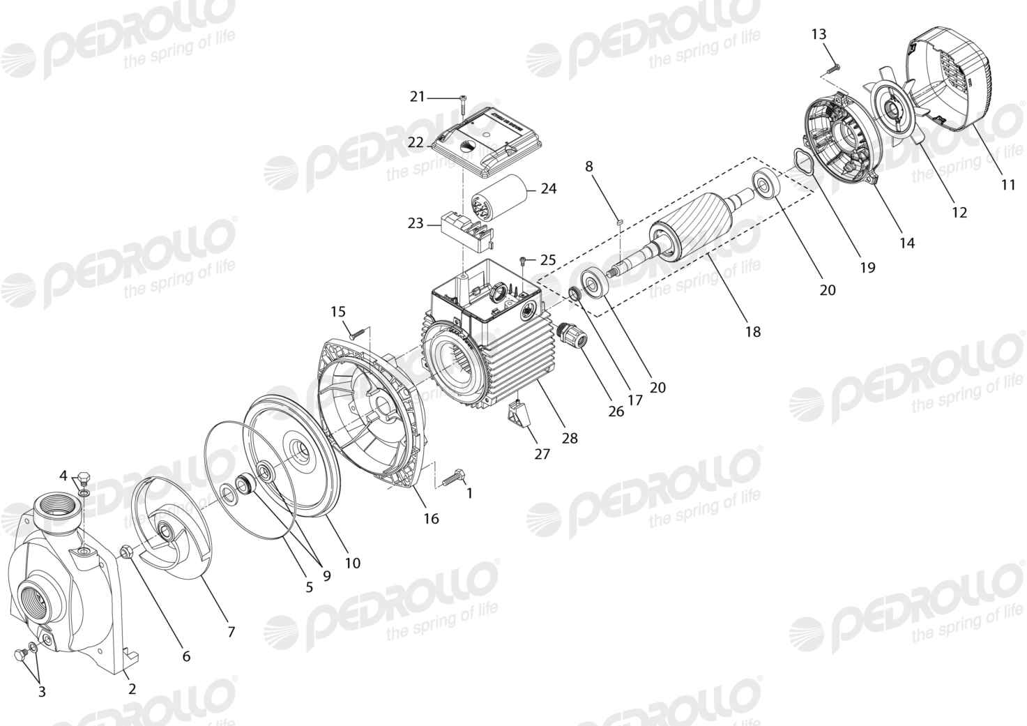 Despiece Pedrollo NGAm 1A-PRO · 220V · versión H