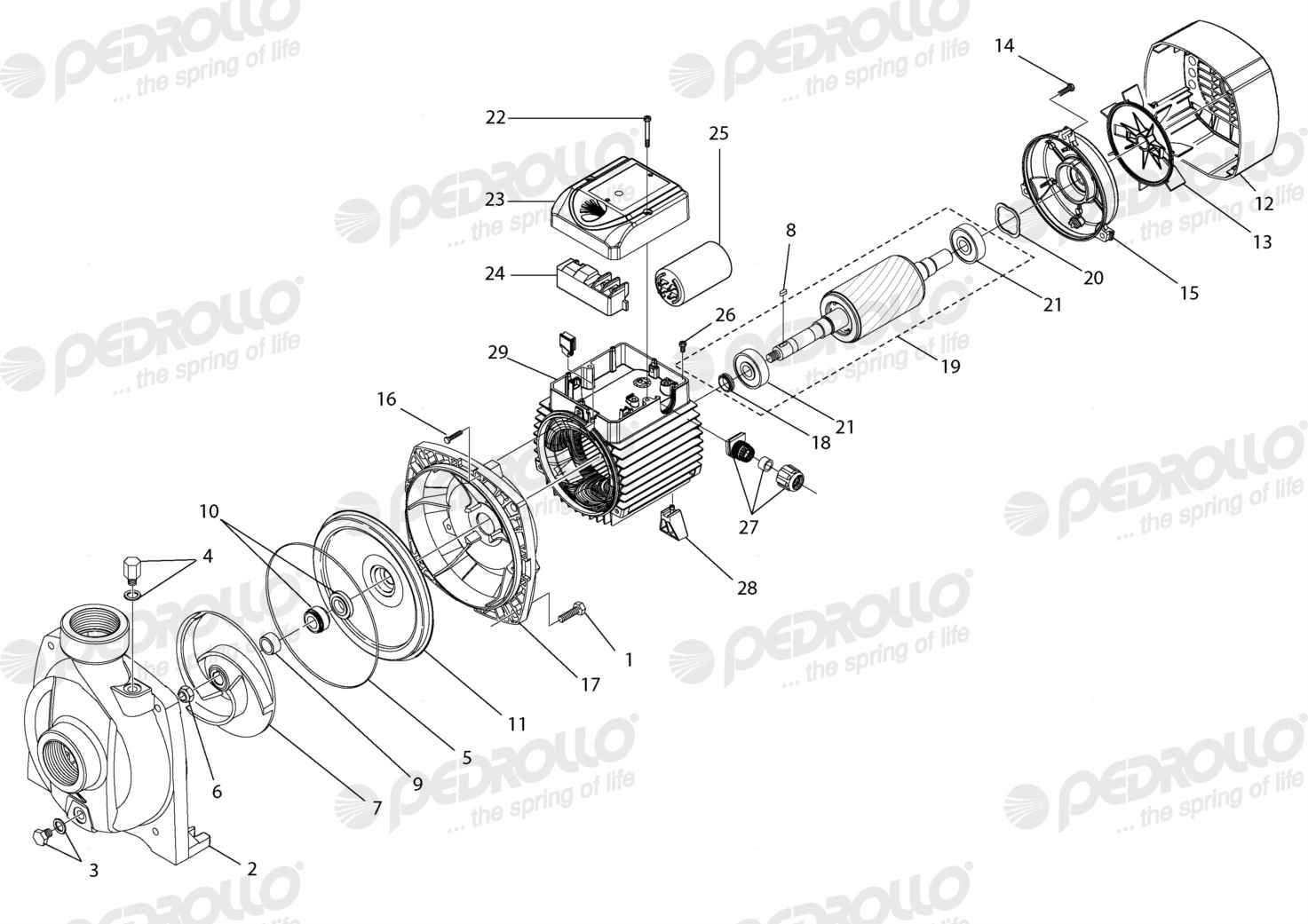 Despiece Pedrollo NGAm 1A · 220V · versión D