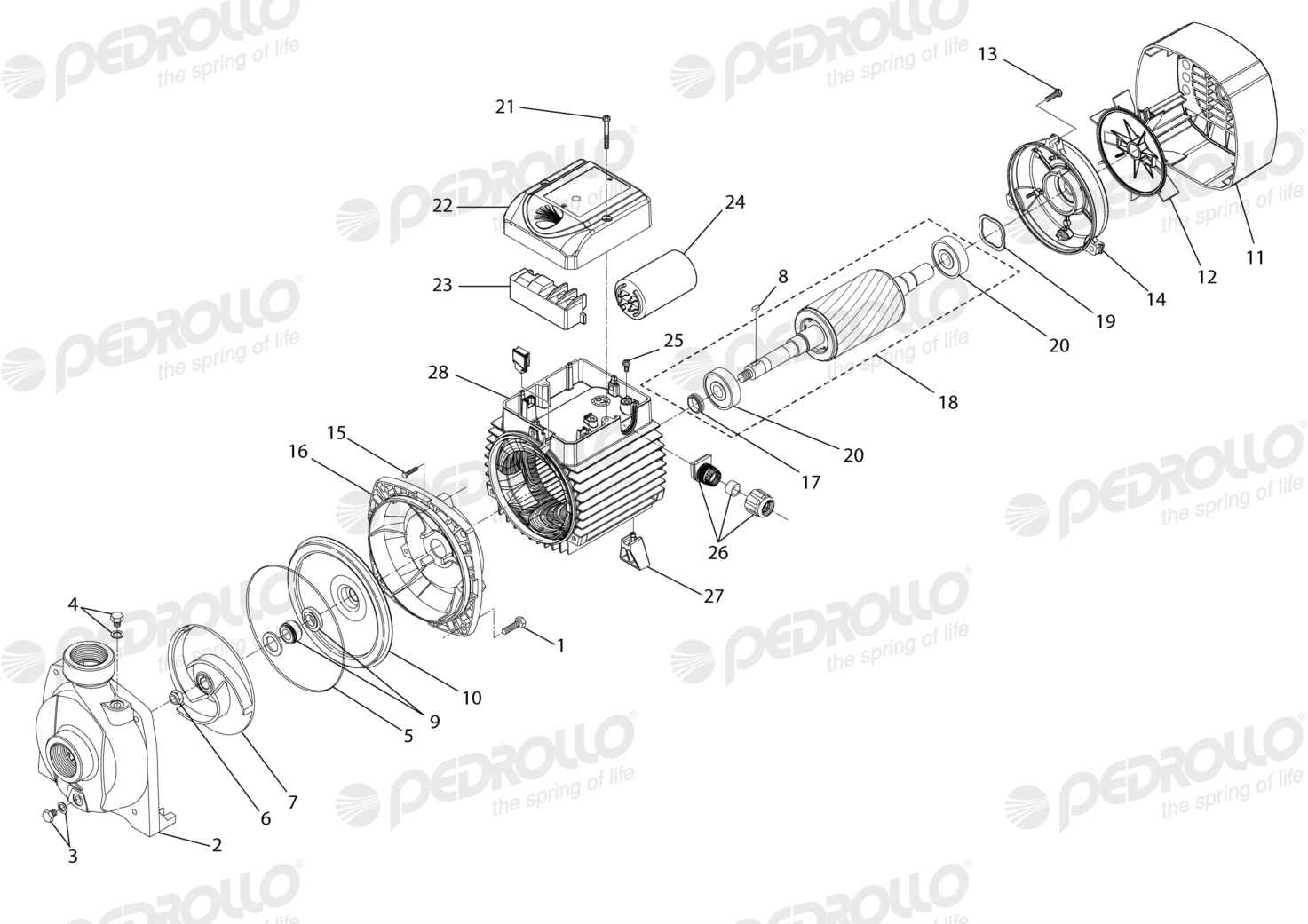 Despiece Pedrollo NGAm 1A · 220V · versión F