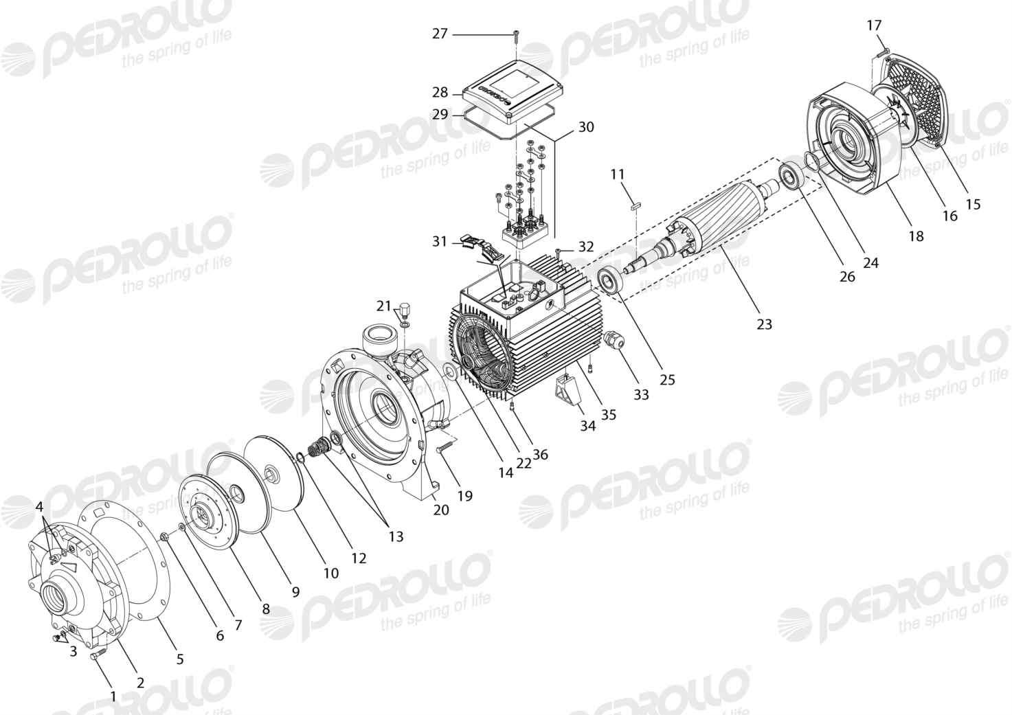 Despiece Pedrollo 2CP 40/180A · 220/380V · versión A