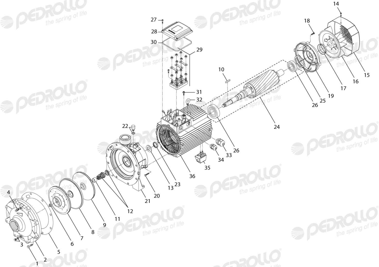 Despiece Pedrollo 2CP 40/200A · 220/380V · versión Sin letra