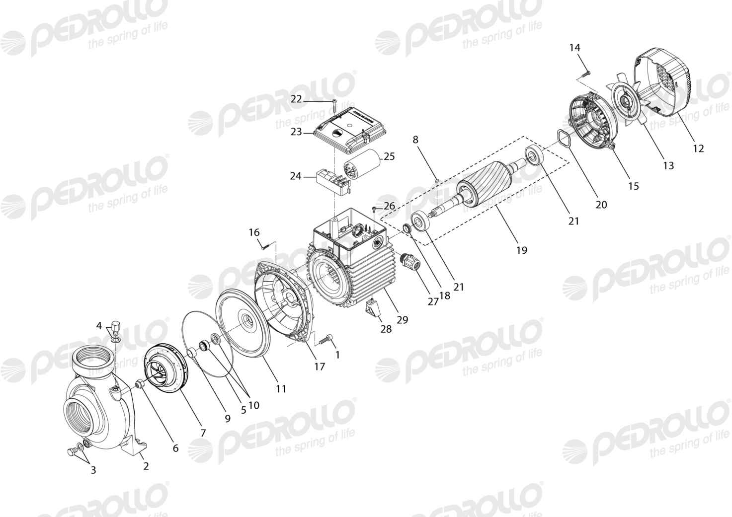 Despiece Pedrollo HFm 51A · 220V · versión H
