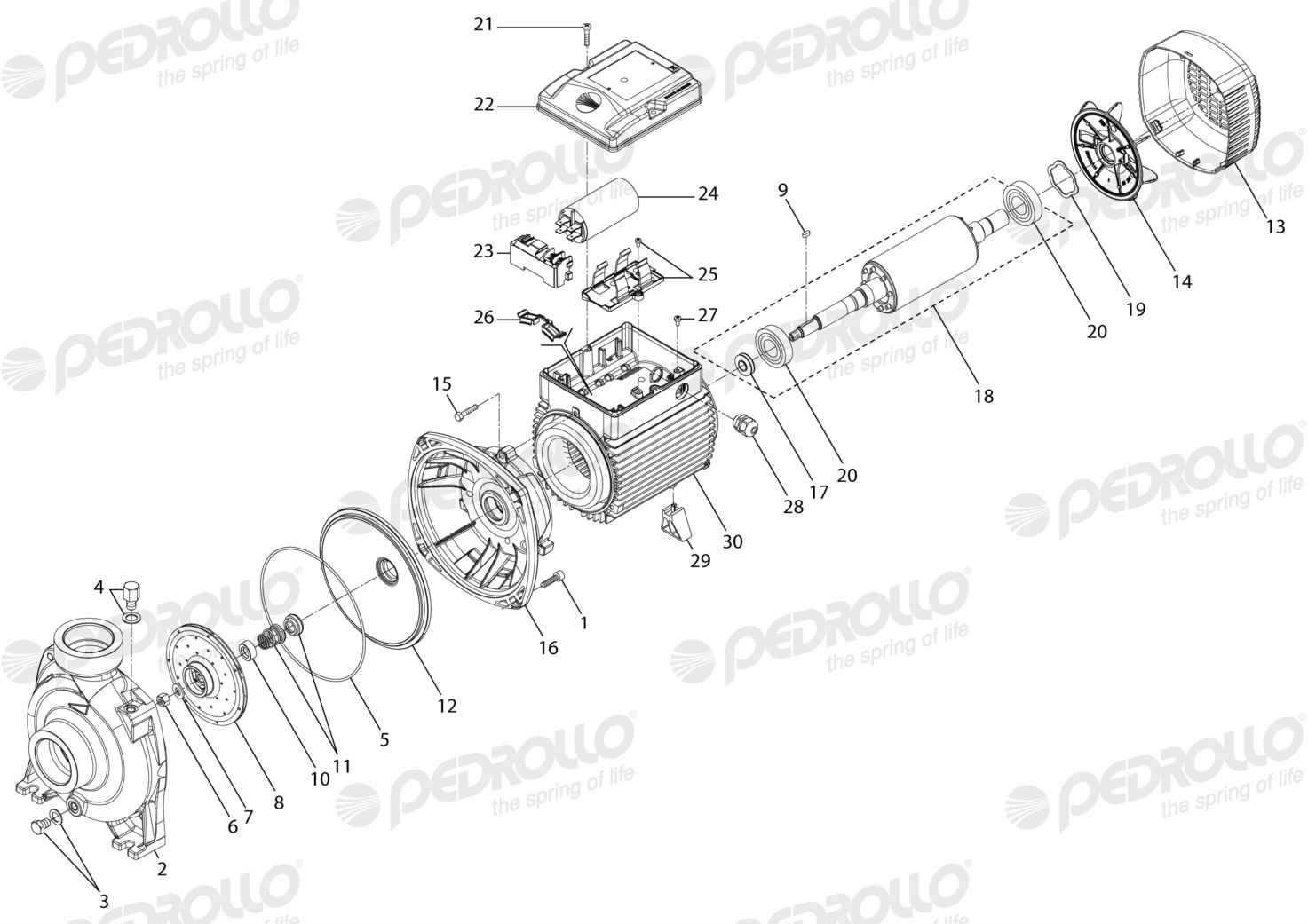 Despiece Pedrollo HFm 5AM · 220V · versión E